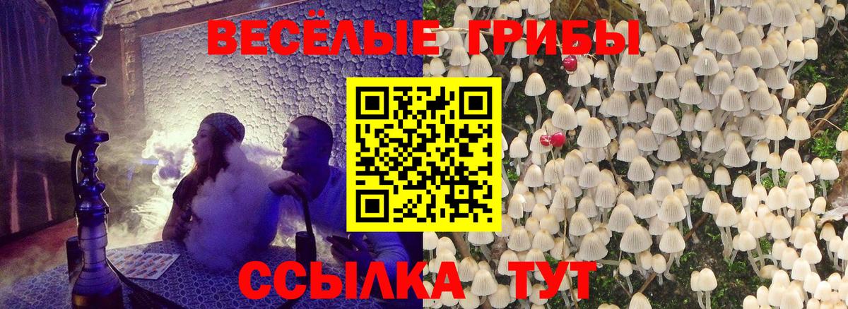 Галлюциногенные грибы мицелий Протвино
