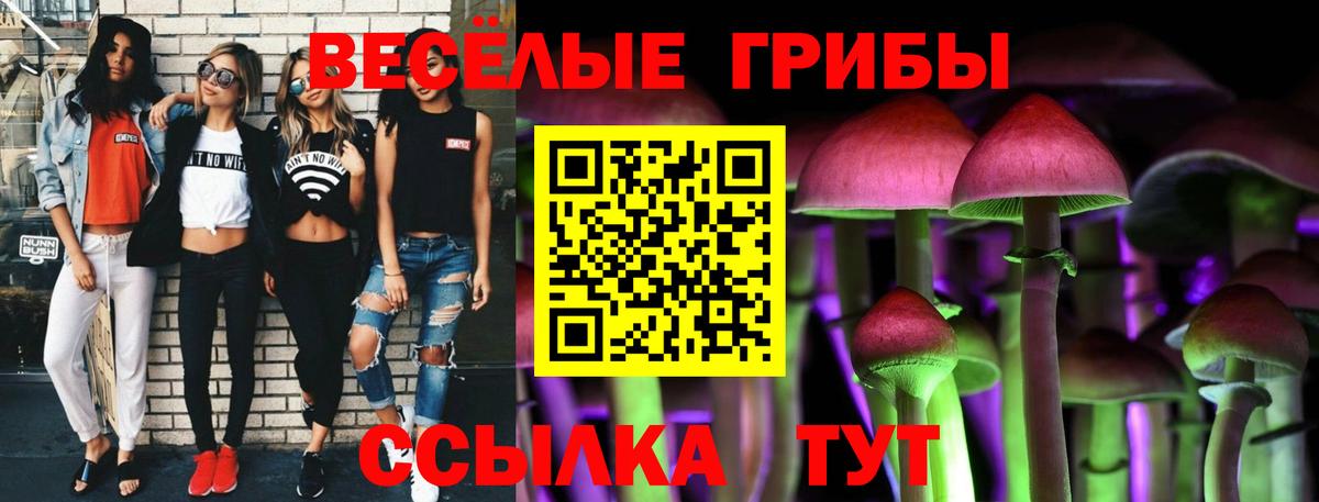 Протвино  Галлюциногенные грибы Magic Shrooms  Псилоцибиновые грибы прущие грибы  Вход с VPN 